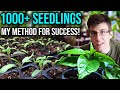 How I&#39;m Growing 1,000+ Seedlings in My House