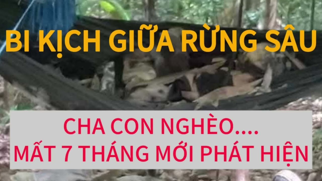 Bi kịch giữa rừng sâu: 2 cha con nghèo ra đi lặng lẽ suốt 7 tháng không ai hay biết.