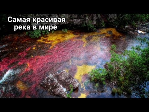 Видео: Традиционные рюкзаки из Колумбии