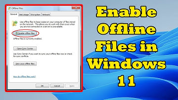 how to Enable Offline Files in Windows 11