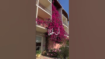 وَعَسَىٰ أَن تَكْرَهُوا شَيْئًا وَهُوَ خَيْرٌ لَّكُمْ ۖ ) || القارئ فارس عباد
