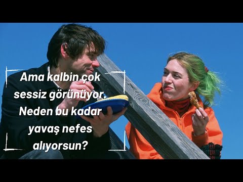 Cat Stevens - Lady D'Arbanville (Türkçe Çeviri) - Eternal Sunshine of the Spotless Mind