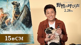 映画『野性の呼び声』TVCM１５秒【坂上忍さん出演】編　２月２８日（金）公開