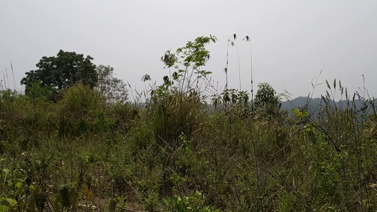 Hinguli Visit Part 1 - YouTube