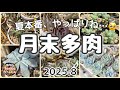 やっぱりそうなるよね…🥲【月末多肉】2025.8