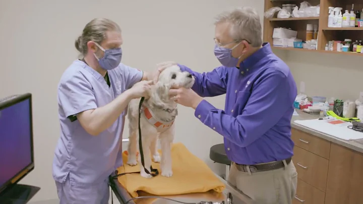 Understanding Ear Disease in Pets with Dr. Craig G...