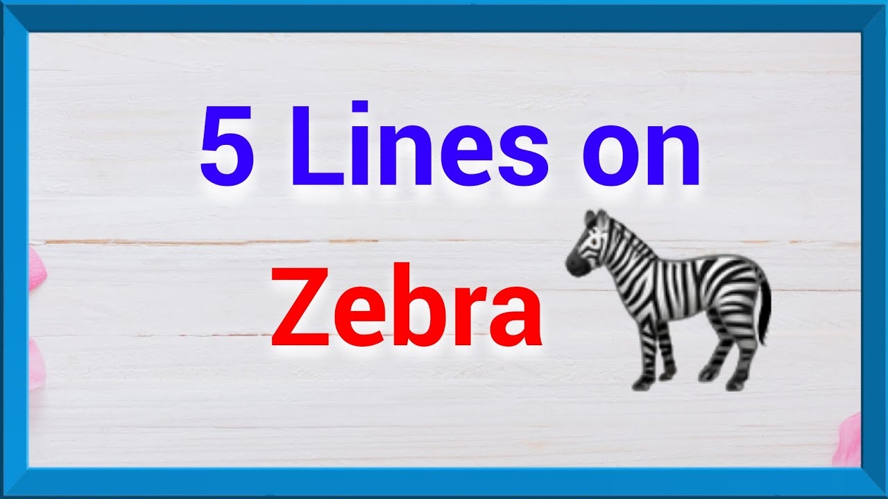 Use The Zebra In Sentence at Ida Hall blog
