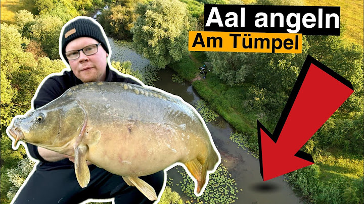 48 Stunden angeln im Dorfteich. Aal und Karpfenangeln