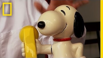 History of the Telephone | I Didn