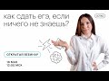 Как сдать ЕГЭ, если ничего не знаешь? | ЕГЭ ЛИТЕРАТУРА 2021 | Онлайн-школа СОТКА