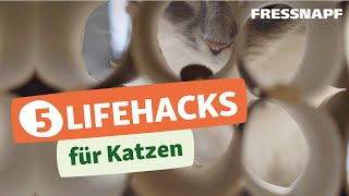 Fünf Lifehacks für das Leben mit Katzen  einfach und praktisch