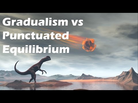 Gradualism vs Punctuated Equilibrium