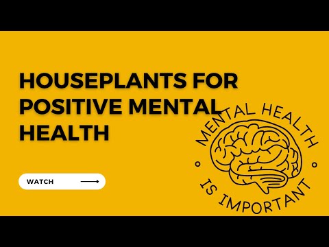 Houseplants: Improved Mental Health & Wellbeing