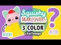 Squishy Makeover: 3 Color Challenge