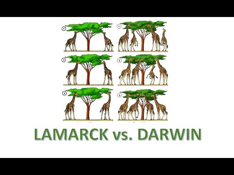 EVOLUCIJA 5: Lamarck vs. Darwin