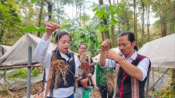 Cùng Phạm Dũng Và Phan Diễm Vượt Cung Đường Gian Khó Đến Vườn Sâm Ngọc Linh Khủng Nhất Kon Tum