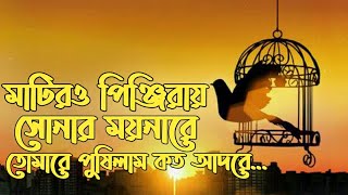 Video thumbnail of "মাটিরও পিঞ্জিরায় সোনার ময়নারে,তোমারে পুষিলাম কত আধরে... লিরিক ভিডিও"