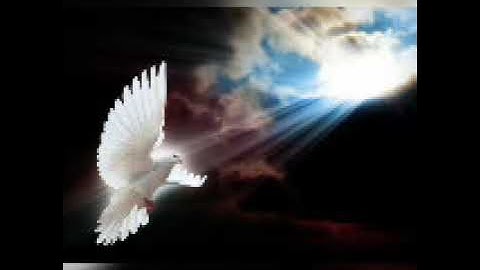 تلاوة عطرة ماتيسر من (سورة البقرة)