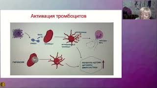 180 дней для пациента в постковидном периоде - Никулина Светлана Юрьевна