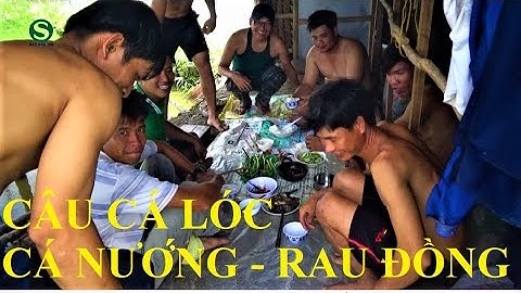 Câu cá lóc - Fishing Snakehead - Nướng ngay tại ruộng - Sắc Màu VN