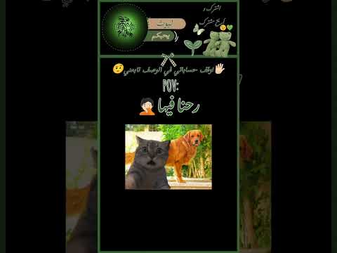 لا يا اللههههههههههه فيديوهات مضحكة مياو رحنا فيها