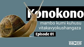 MAMBO 10 USIYOYAFAHAMU KUHUSU KONOKONO NA MAAJABU YAKE