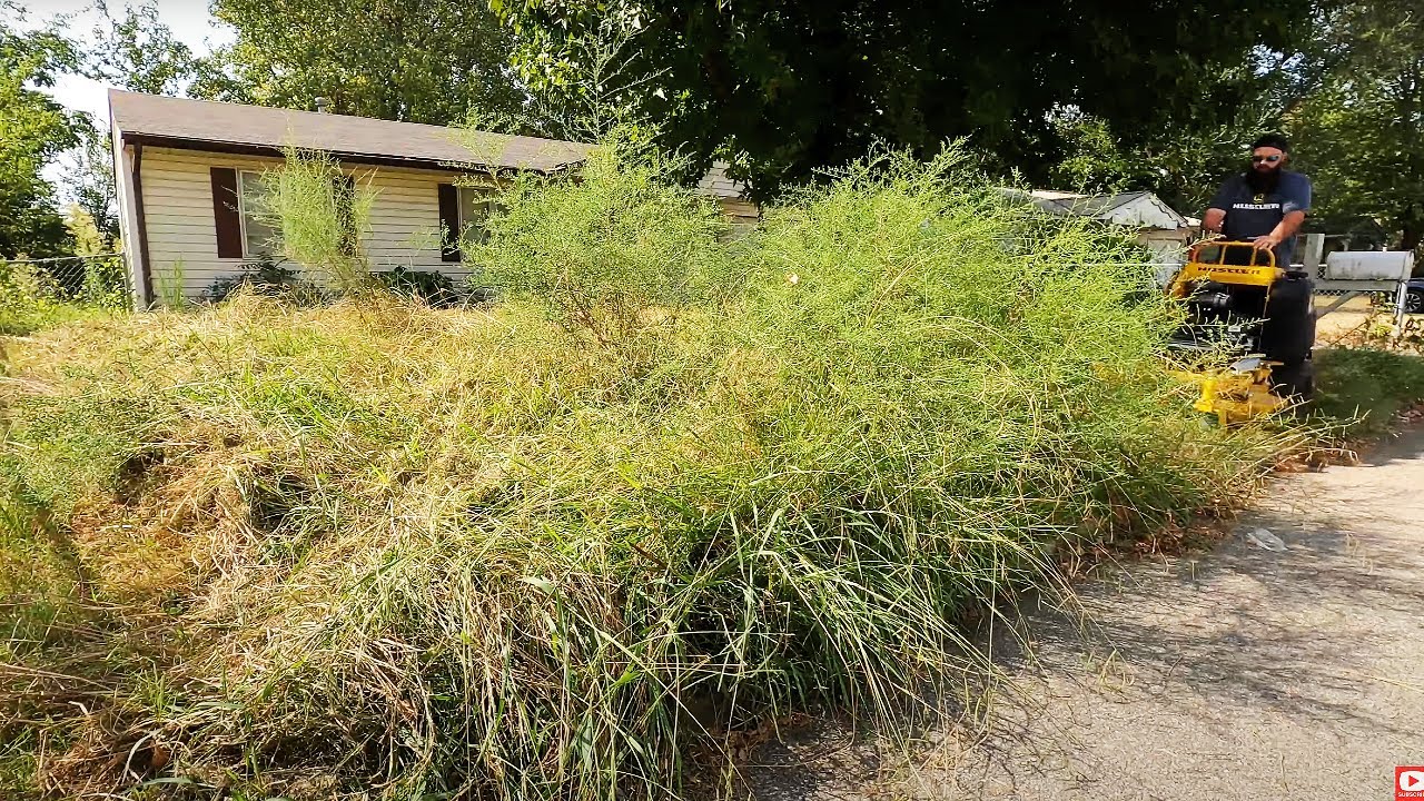 MOWING this OVERGROWN CITY VIOLATION LAWN at NO CHARGE to the HOMEOWNER