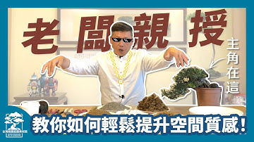 老闆親授！教你如何輕鬆提升空間質感！【上集】How to Repot a Bonsai Tree.｜台灣銘園庭園美術館