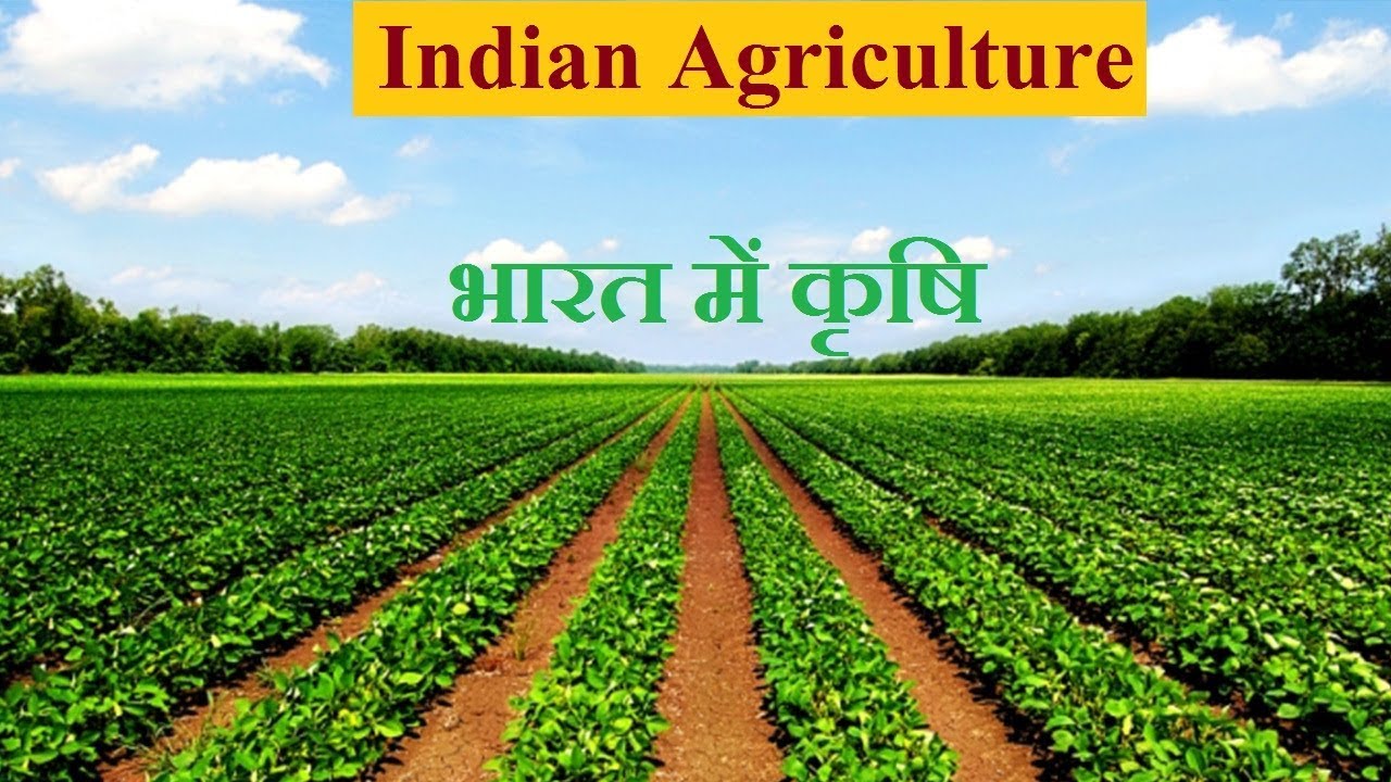 indian agriculture ile ilgili görsel sonucu