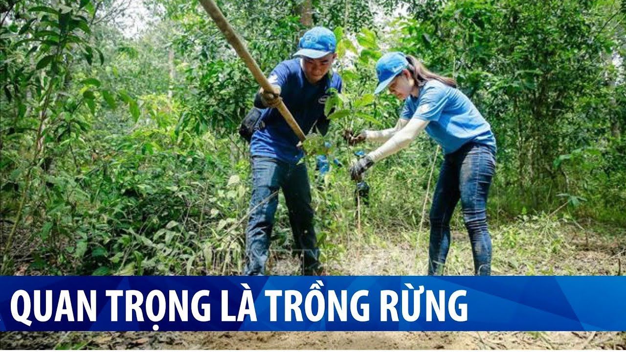 Chuyên gia: để chống tác động của biến đổi khí hậu, Việt Nam cần ...