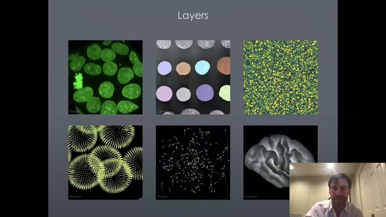 Nicholas Sofroniew: "napari: a Python multi-dimensional image ...