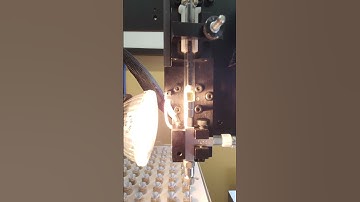 cETLus and GMP Infusion Technology