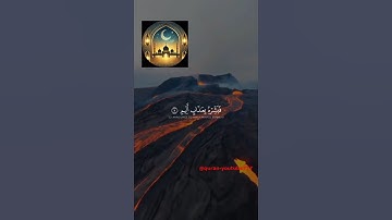 لحظات خشوع مع أجمل التلاوات #سكينة_القلب