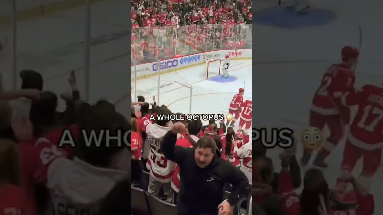 Guy throws a whole octopus on Detroit NHL game! 😂😂 shorts hockey 