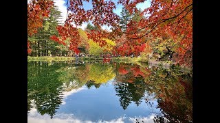 日本東京輕井澤紅葉盛況