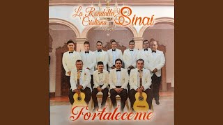 Miniatura del video "La Rondalla Cristiana Sinaí - Por Tu Gran Majestad"