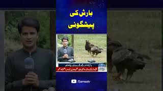 Important Prediction About Rain Storm By MET Department   #PakistanNews #yt #viral #shorts