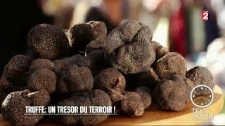 Marchés - Truffe : un trésor du terroir