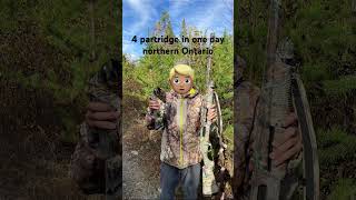 4 Partridge In One Day On My Moose Hunting Trip In Northern Ontario Resimi