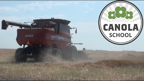 Canola School: Fine tuning combine settings to maximize yield