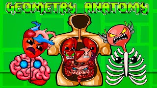 지오메트리 인체 Geometry Anatomy Geometry Dash Meme
