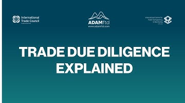 Trade Due Diligence Explained | Understanding CSDDD, Forced Labor Bans & Supply Chain Compliance