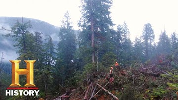 BIG TIMBER | New Series Premieres Thursday, October 8 10EP