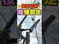 【植木屋の日常】高所作業車での桜強剪定