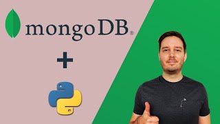 MongoDB Crash Course With Python 2022