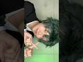 🥦 #ヒロアカ #コスプレ #緑谷出久 #mha #izukumidoriyacosplay