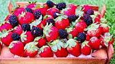 Tarte Cagette De Fruits Youtube Tarte Cagette De Fruits Youtube