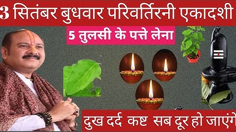 3 सितंबर बुधवार परिवर्तिनी एकादशी। 5 तुलसी पत्ते वाला उपाय जरुर करें। Pandit Pradeep Mishra ।।
