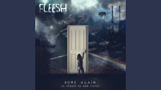 High Hopes - Fleesh