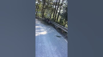 Se cho  mình xin 1 like để lấy động lực làm các video tiếp hay hơn